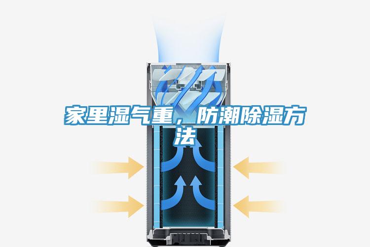 家裏濕氣重，防潮除濕方法