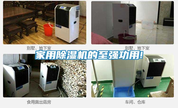 家用好色先生在线播放的至強功用!