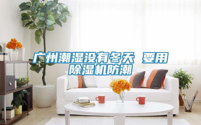 廣州潮濕沒有冬天 要用好色先生在线播放防潮