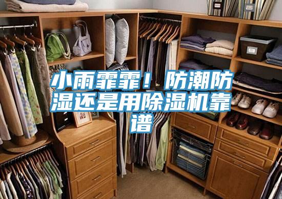 小雨霏霏！防潮防濕還是用好色先生在线播放靠譜