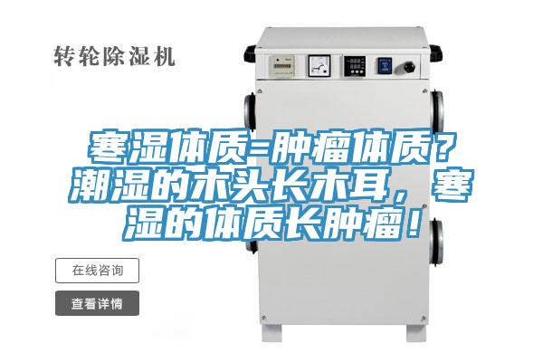 寒濕體質=腫瘤體質？潮濕的木頭長木耳，寒濕的體質長腫瘤！