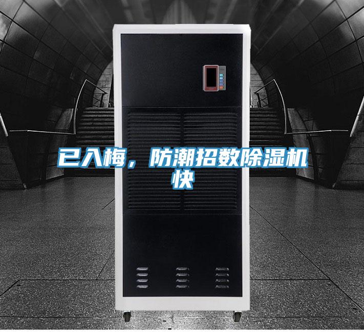 已入梅，防潮招數好色先生在线播放快