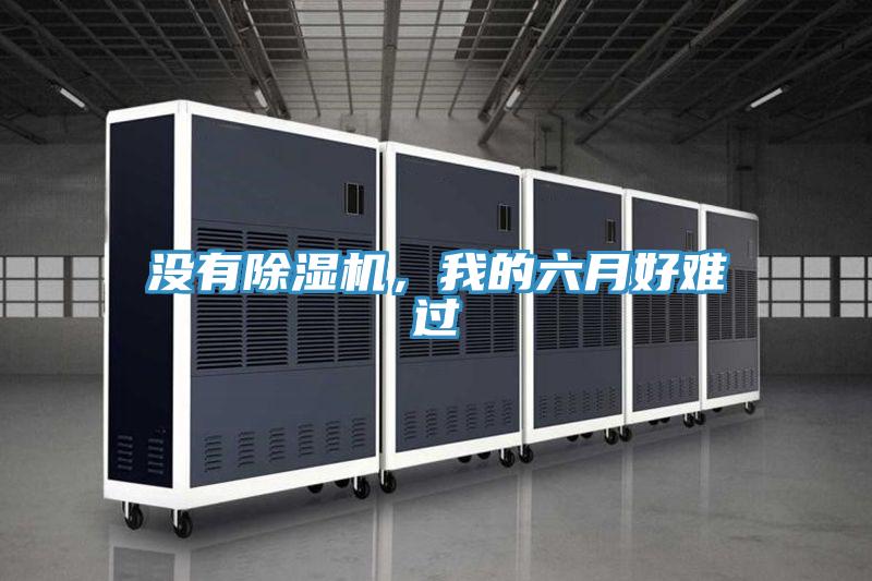 沒有好色先生在线播放，我的六月好難過