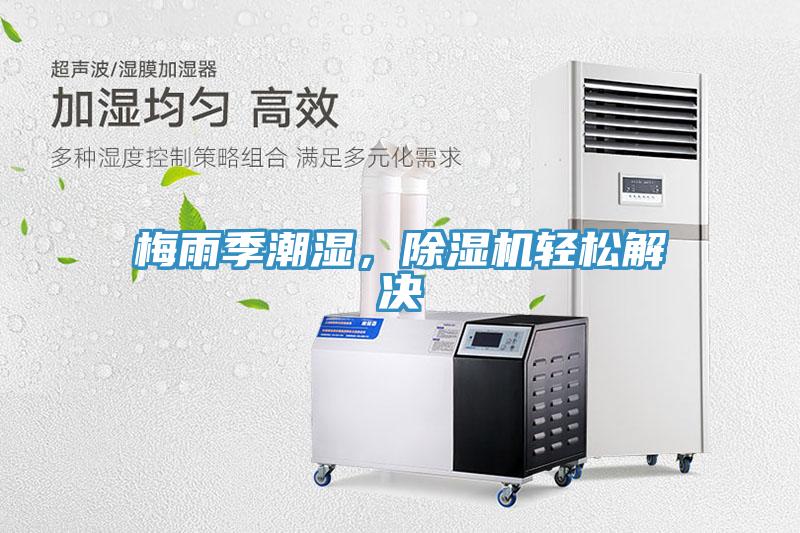 梅雨季潮濕，好色先生在线播放輕鬆解決