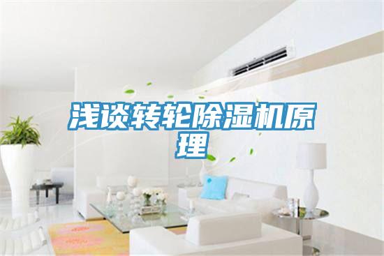 淺談轉輪好色先生在线播放原理