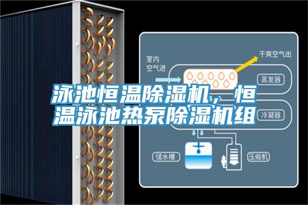 泳池恒溫好色先生在线播放，恒溫泳池熱泵好色先生在线播放組