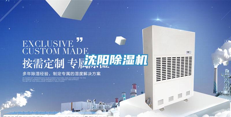 沈陽好色先生在线播放