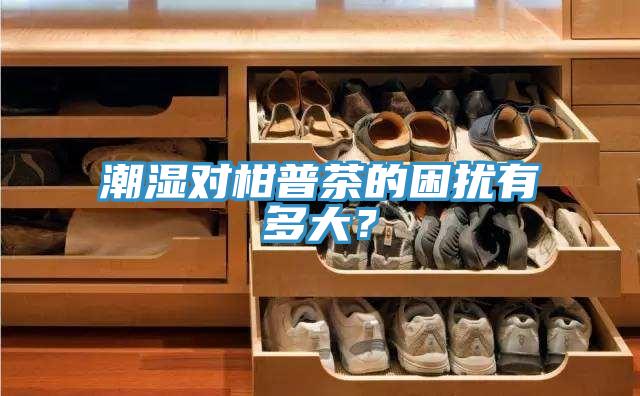 潮濕對柑普茶的困擾有多大？