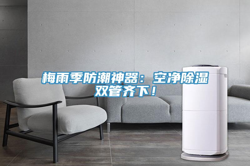 梅雨季防潮神器：空淨除濕雙管齊下！