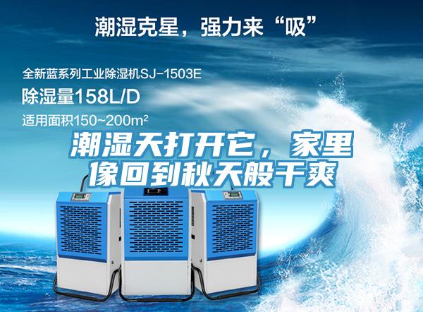 潮濕天打開它，家裏像回到秋天般幹爽