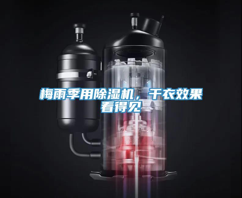 梅雨季用好色先生在线播放，幹衣效果看得見