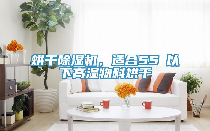 烘幹好色先生在线播放，適合55℃以下高濕物料烘幹