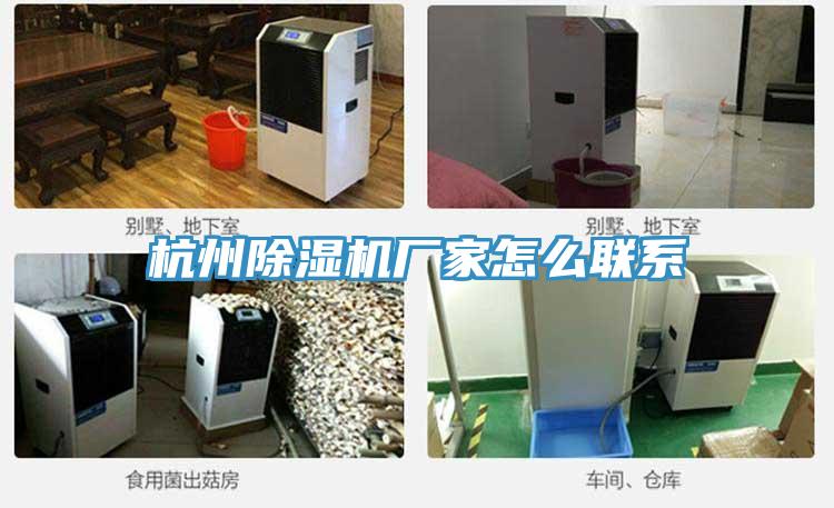 杭州好色先生在线播放廠家怎麽聯係