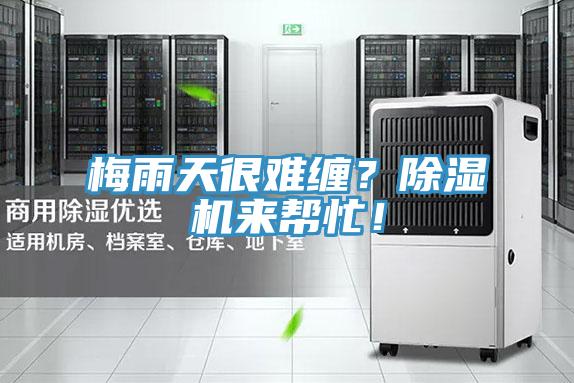 梅雨天很難纏？好色先生在线播放來幫忙！