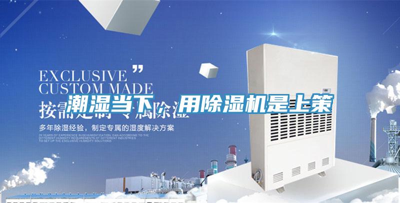 潮濕當下，用好色先生在线播放是上策