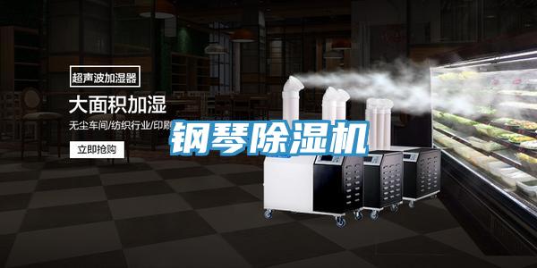 鋼琴好色先生在线播放