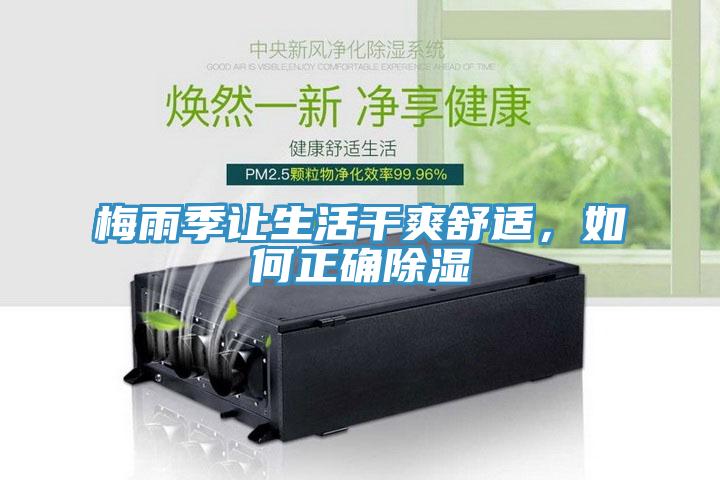 梅雨季讓生活幹爽舒適，如何正確除濕