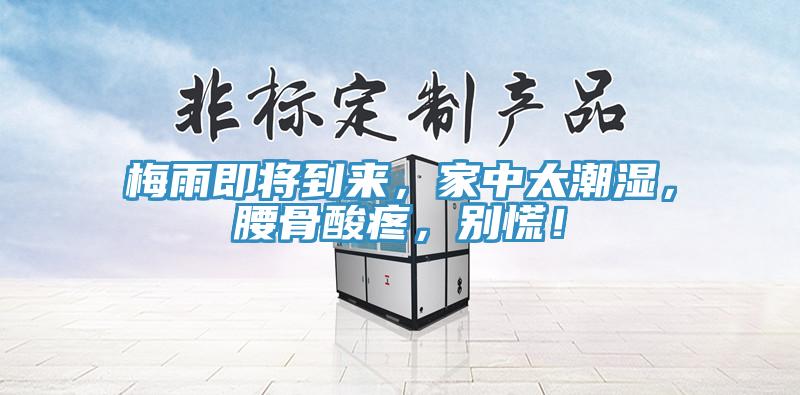 梅雨即將到來，家中太潮濕，腰骨酸疼，別慌！