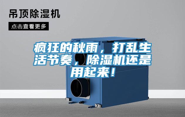 瘋狂的秋雨，打亂生活節奏，好色先生在线播放還是用起來！