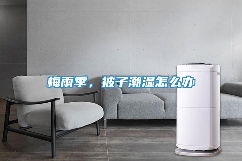 梅雨季,被子潮濕怎麽辦