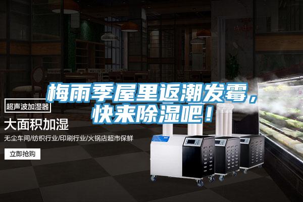 梅雨季屋裏返潮發黴，快來除濕吧！