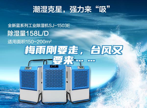 梅雨剛要走，台風又要來……