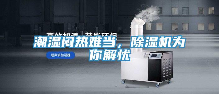 潮濕悶熱難當，好色先生在线播放為你解憂