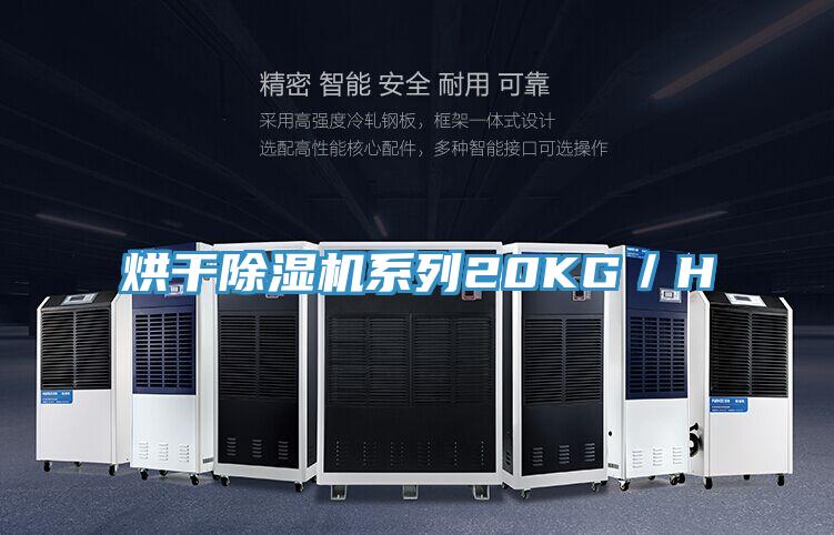 烘幹好色先生在线播放係列20KG／H