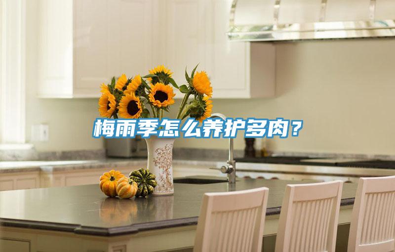 梅雨季怎麽養護多肉?