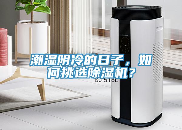 潮濕陰冷的日子，如何挑選好色先生在线播放？