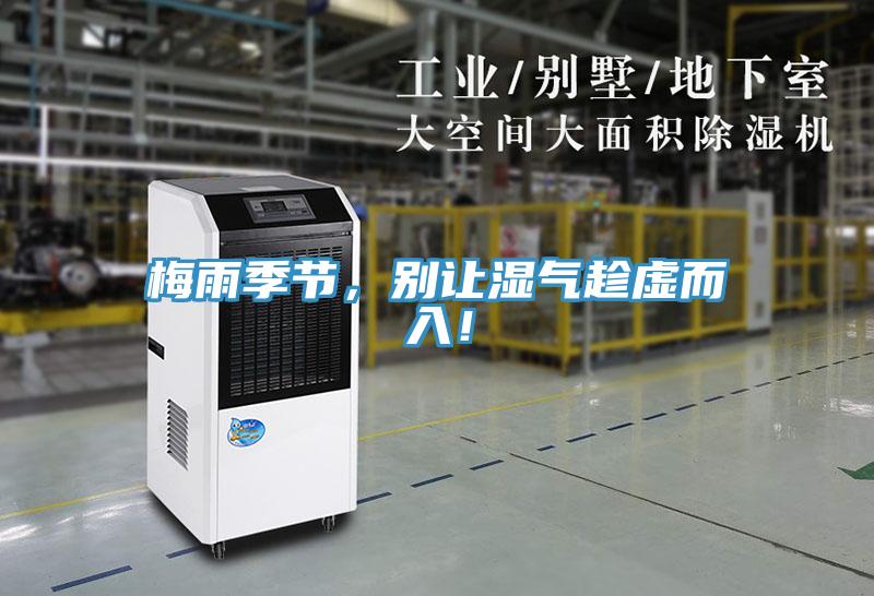 梅雨季節，別讓濕氣趁虛而入！