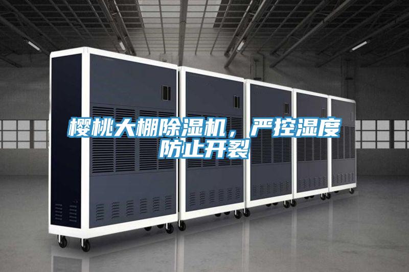 櫻桃大棚好色先生在线播放,嚴控濕度防止開裂