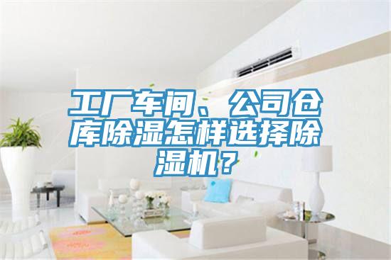 工廠車間、公司倉庫除濕怎樣選擇好色先生在线播放？