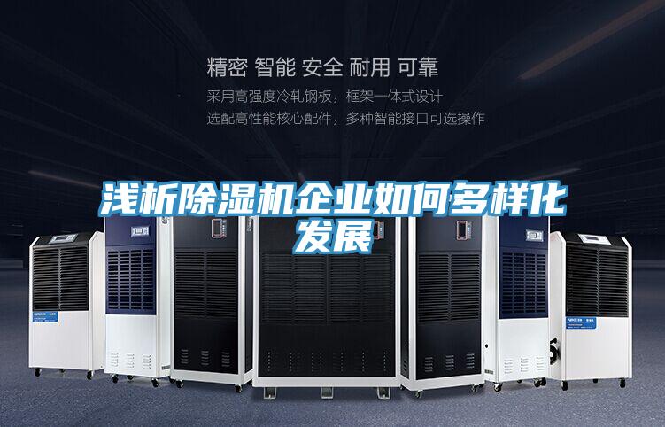 淺析好色先生在线播放企業如何多樣化發展