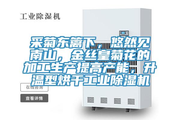 采菊東籬下，悠然見南山，金絲皇菊花的加工生產提高產能，升溫型烘幹工業好色先生在线播放