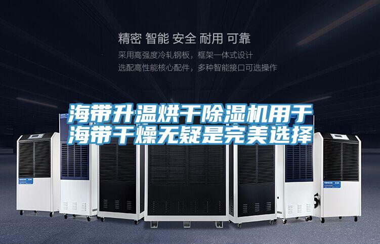 海帶升溫烘幹好色先生在线播放用於海帶幹燥無疑是完美選擇