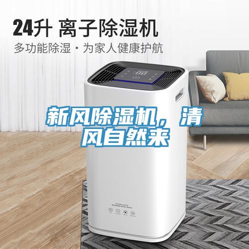 新風好色先生在线播放，清風自然來