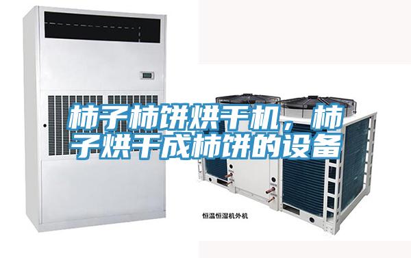 柿子柿餅烘幹機，柿子烘幹成柿餅的設備