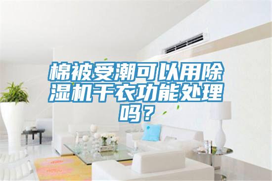 棉被受潮可以用好色先生在线播放幹衣功能處理嗎?