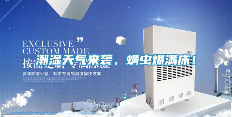 潮濕天氣來襲，蟎蟲爆滿床！