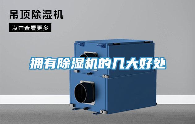 擁有好色先生在线播放的幾大好處