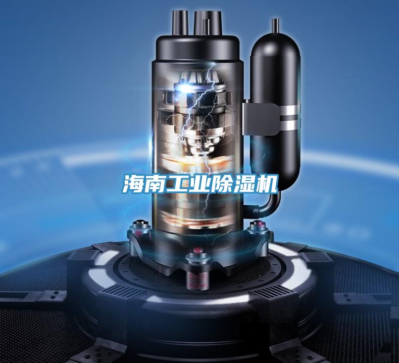 海南工業好色先生在线播放