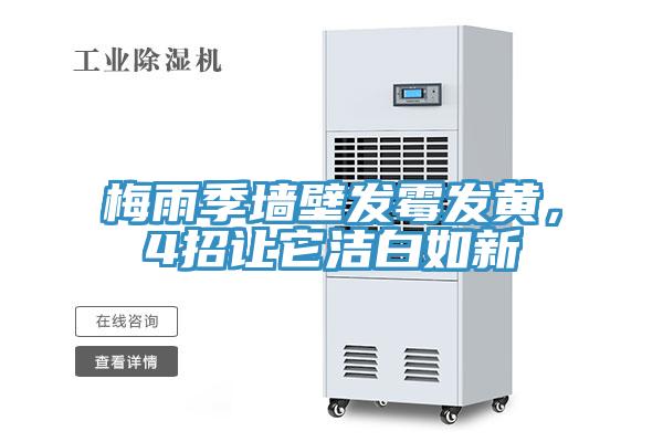 梅雨季牆壁發黴發黃，4招讓它潔白如新