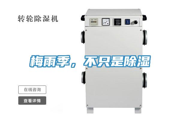 梅雨季,不隻是除濕