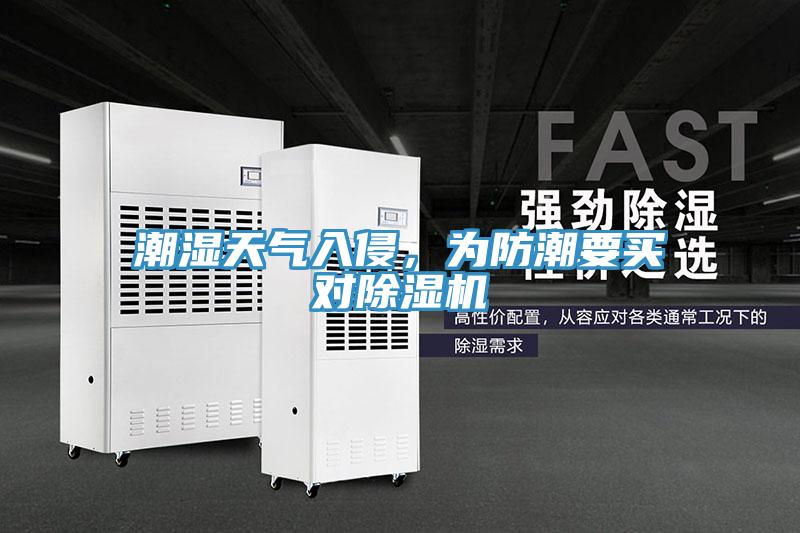 潮濕天氣入侵，為防潮要買對好色先生在线播放