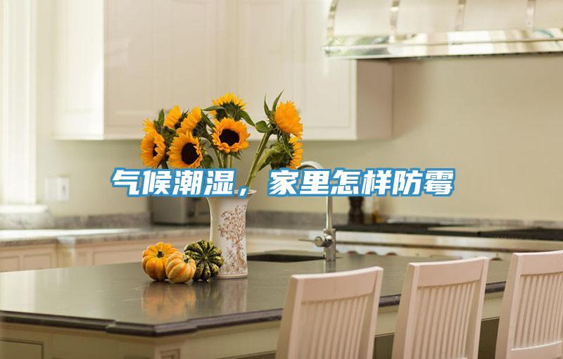 氣候潮濕，家裏怎樣防黴