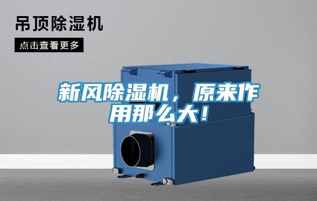 新風好色先生在线播放，原來作用那麽大！