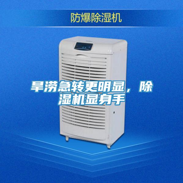 旱澇急轉更明顯，好色先生在线播放顯身手