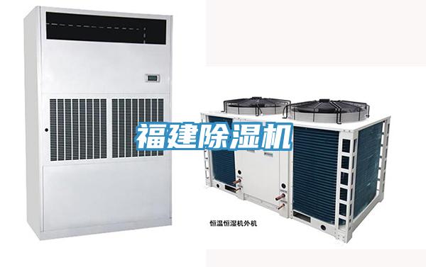 福建好色先生在线播放