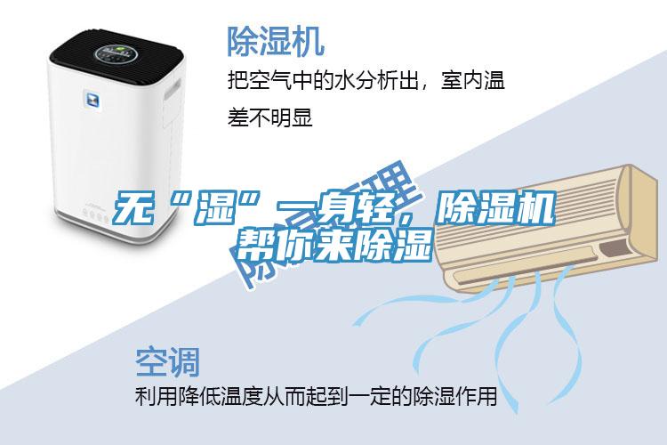 無“濕”一身輕，好色先生在线播放幫你來除濕